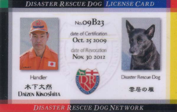 DISASTER RESCUE DOG LICENSE CARD�i�\�j
No.09B23
date of Certification Oct. 25 2009
date of Revocation Nov. 30 2012
Handler �؉� ��R Daizen Kinoshita
Disaster Rescue Dog �_���̊�
Disaster Rescue Dog Network