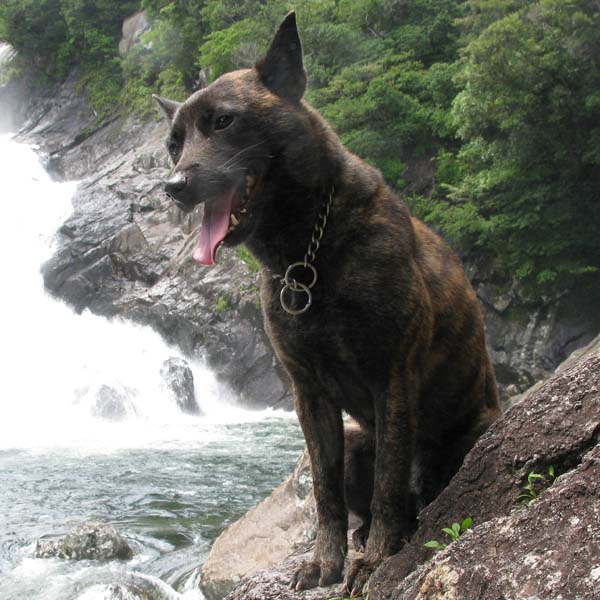 �����̎�K