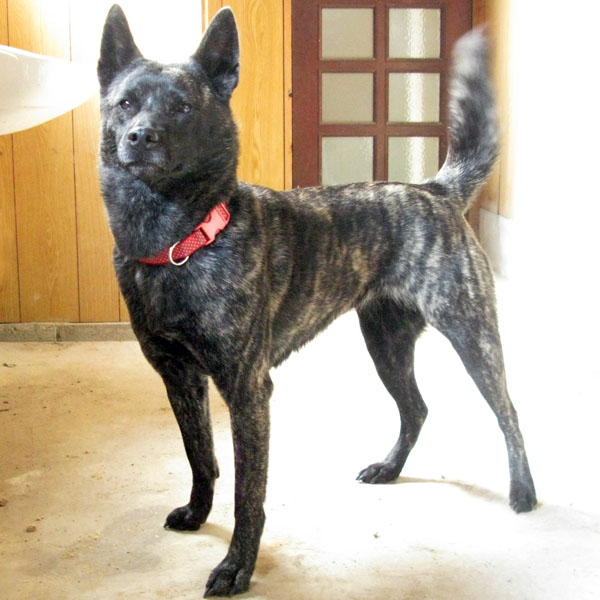 ���P�T����