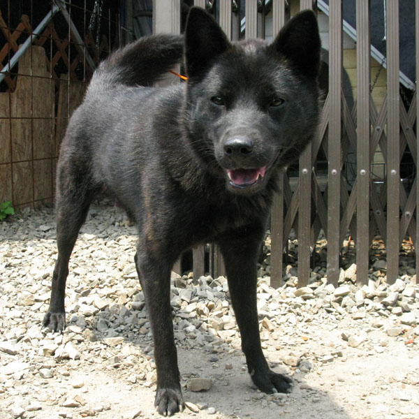 �b��m�Ԍ��P