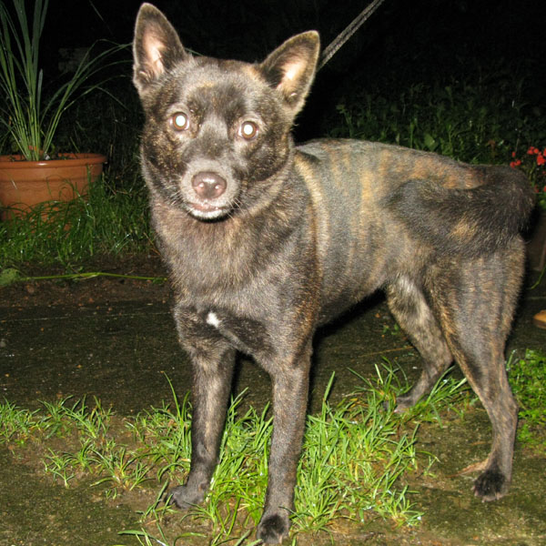 �����T������