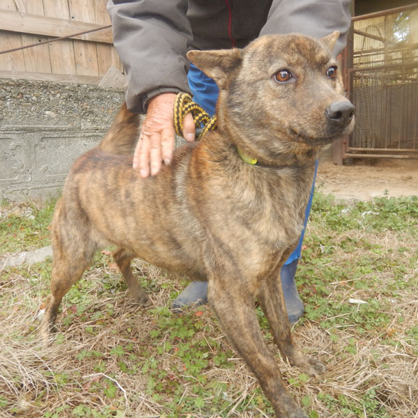 �����̐ԕP