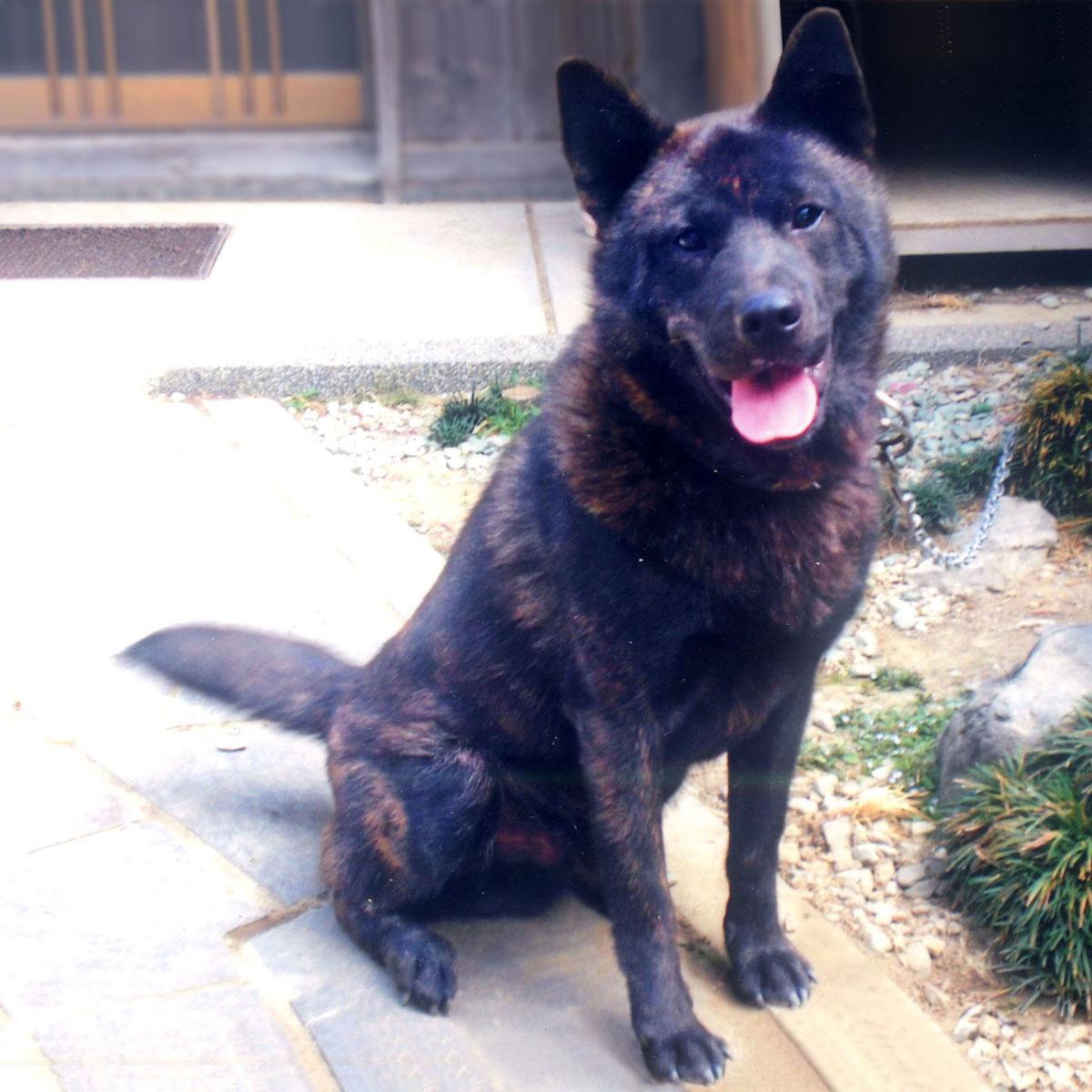 �I�m���S�b��