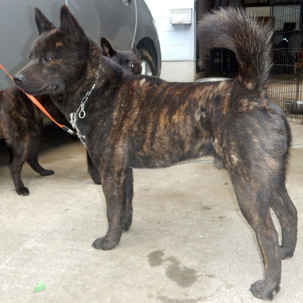 �I�m����