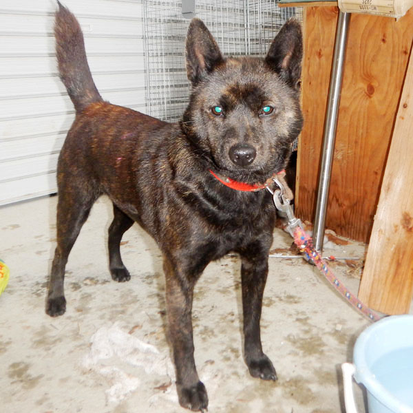 �}�O���T��