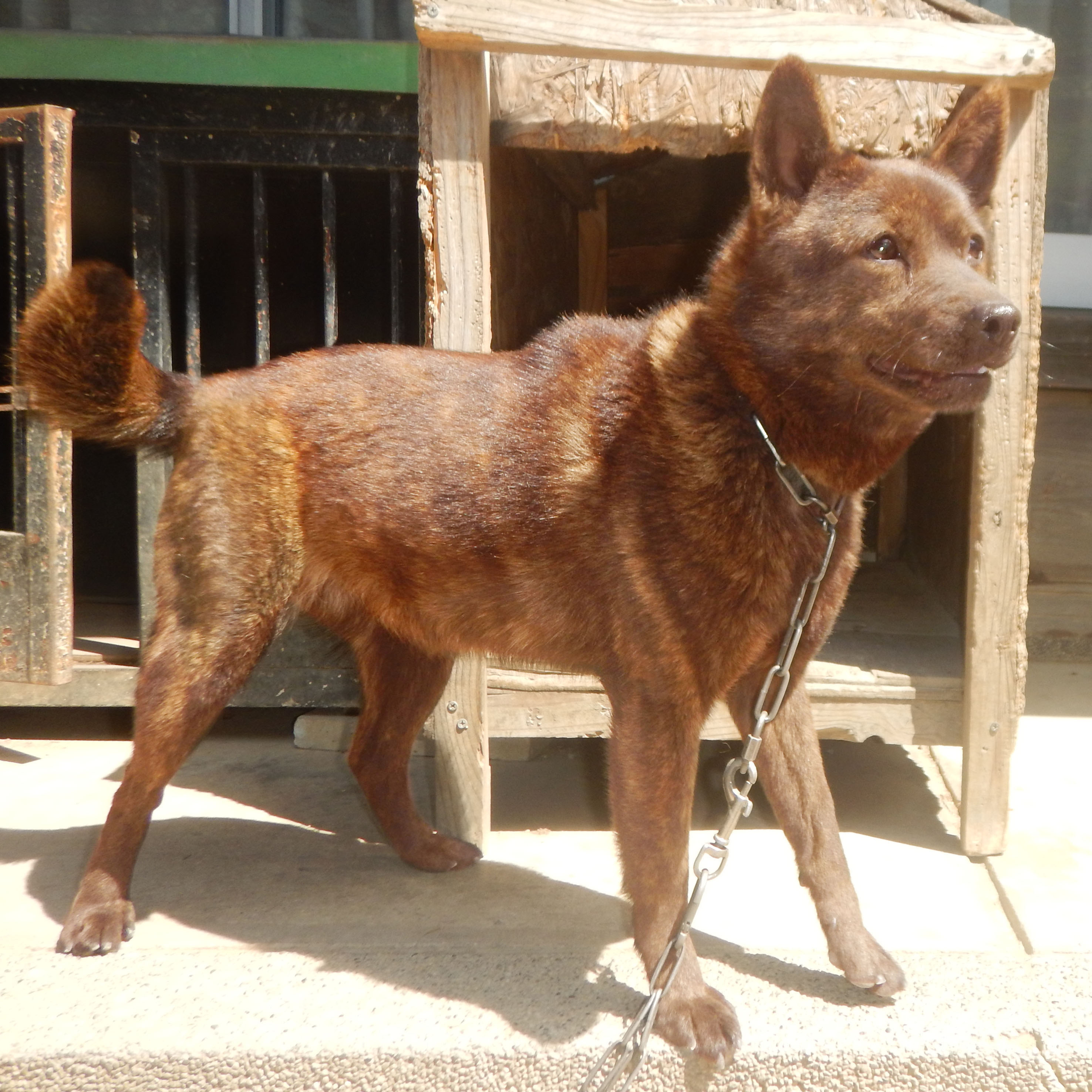 �I�m���q�m�����P