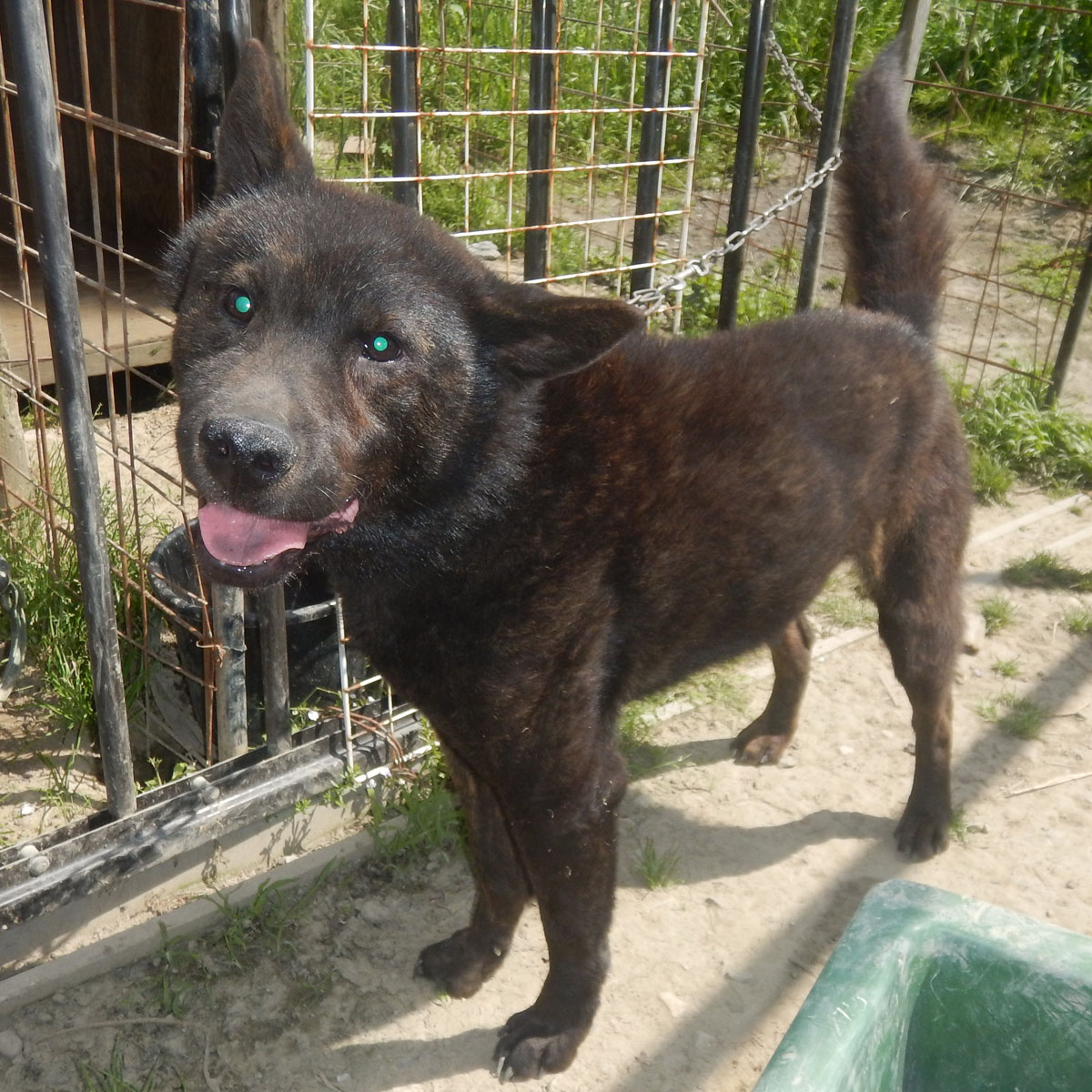 �I�m���_��