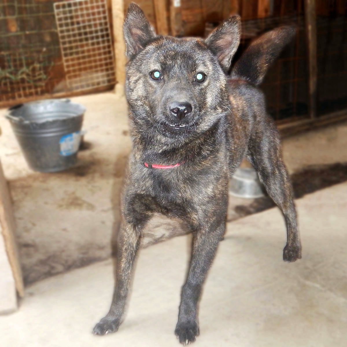 �I�m������