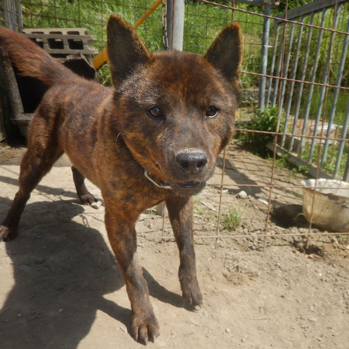 �I�m���ʃm��a