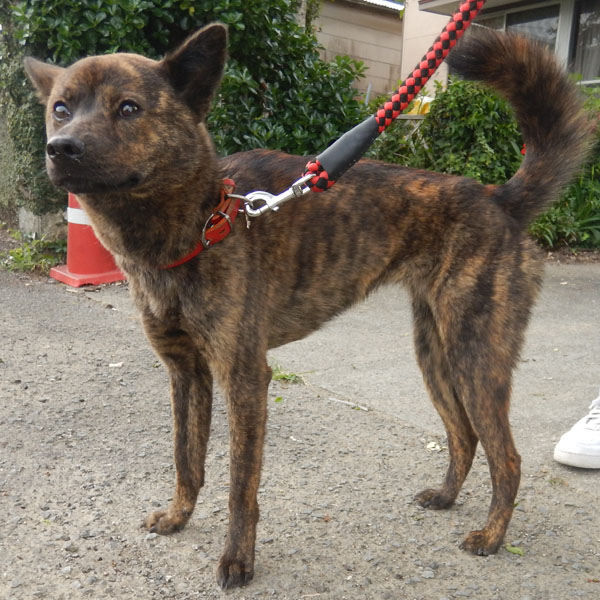 �R�{�����