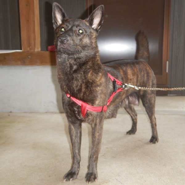 ������T��