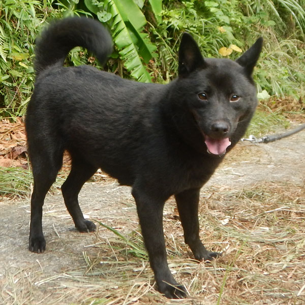 �I�m���C��