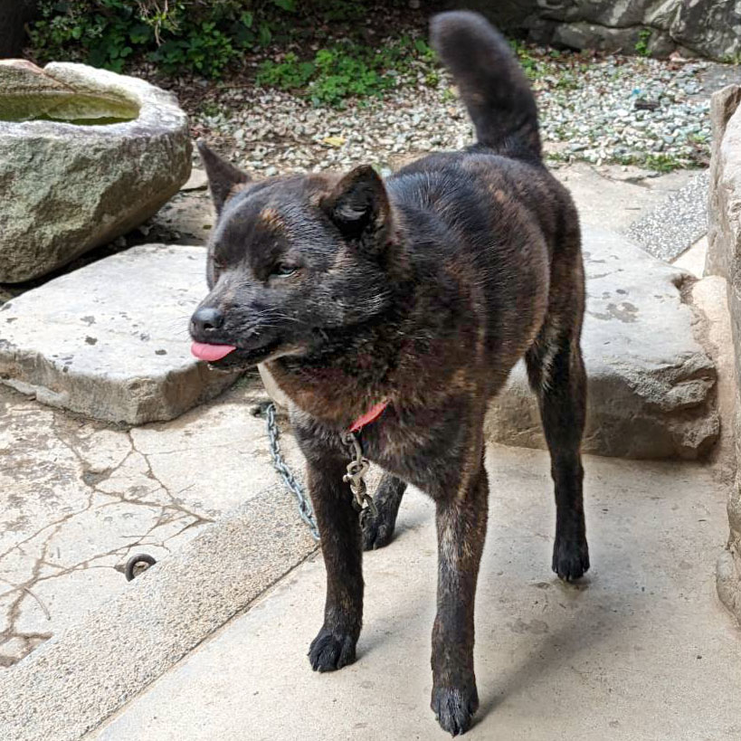 �I�m���ʒ��P