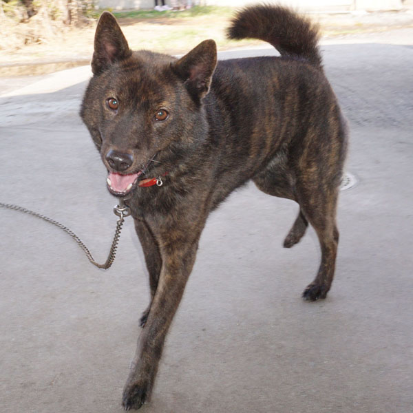 ������T��