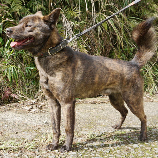 �F���T����