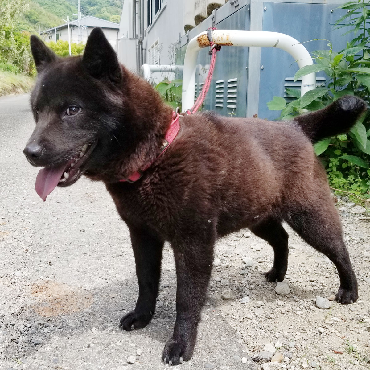 �I�m���ǌ�