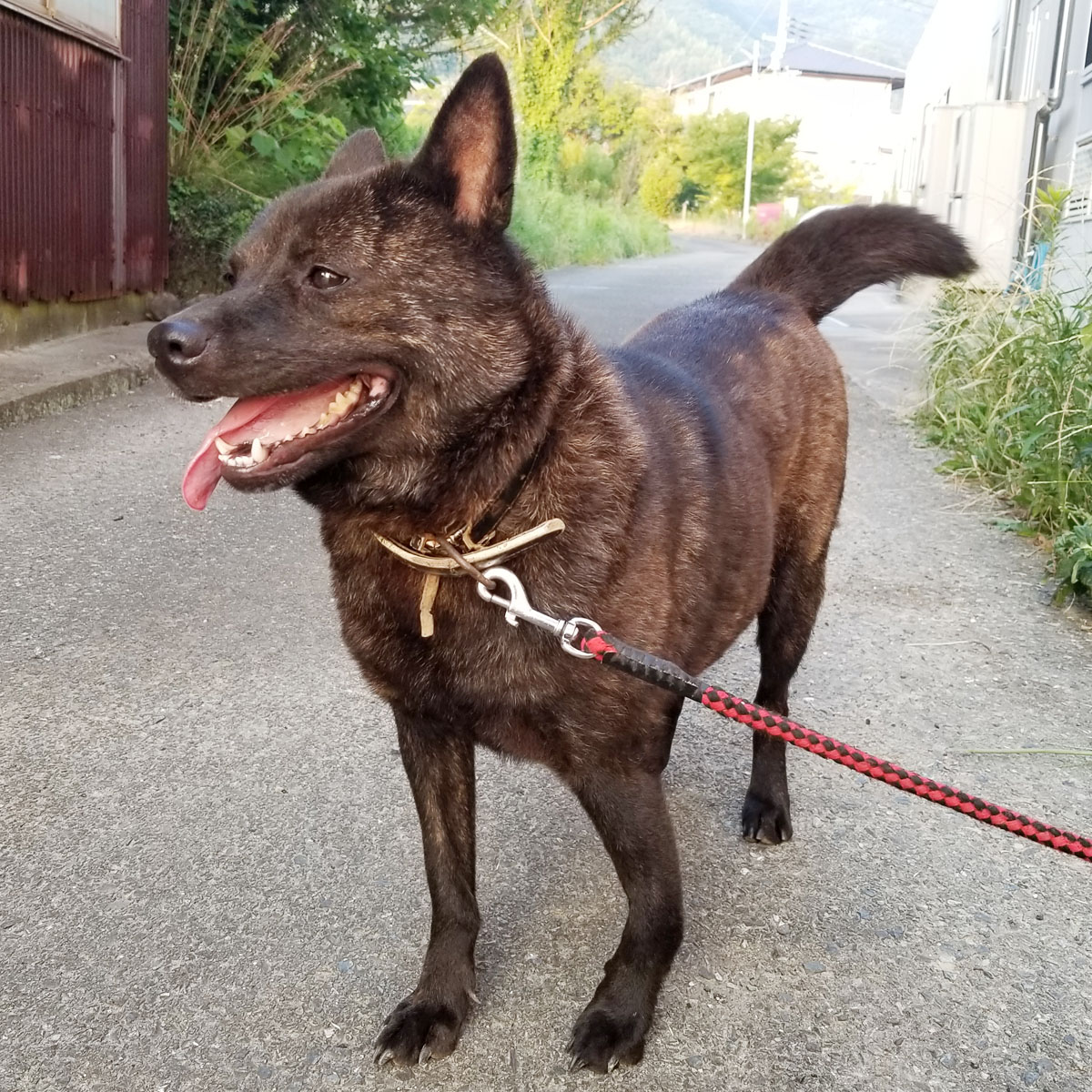 �I�m���鐝