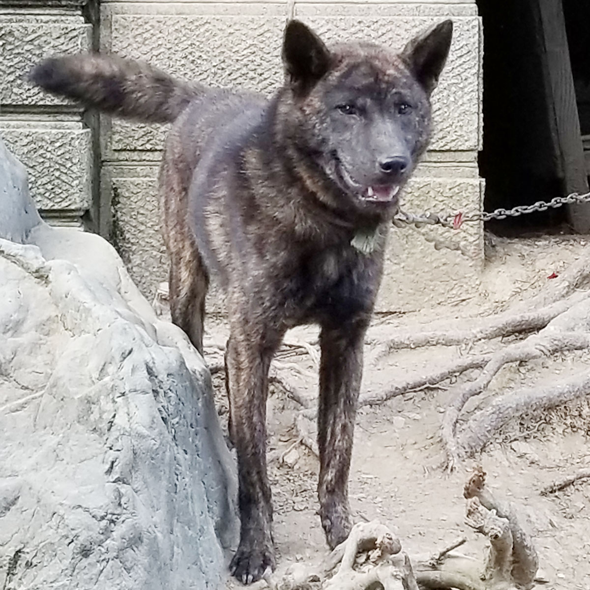 �I�m���ٌc