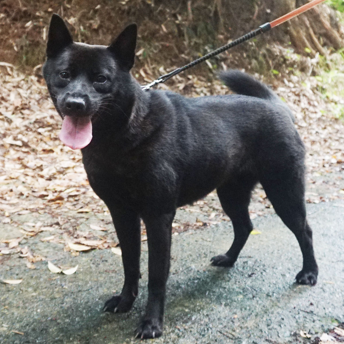 ��㍑�m�]�P