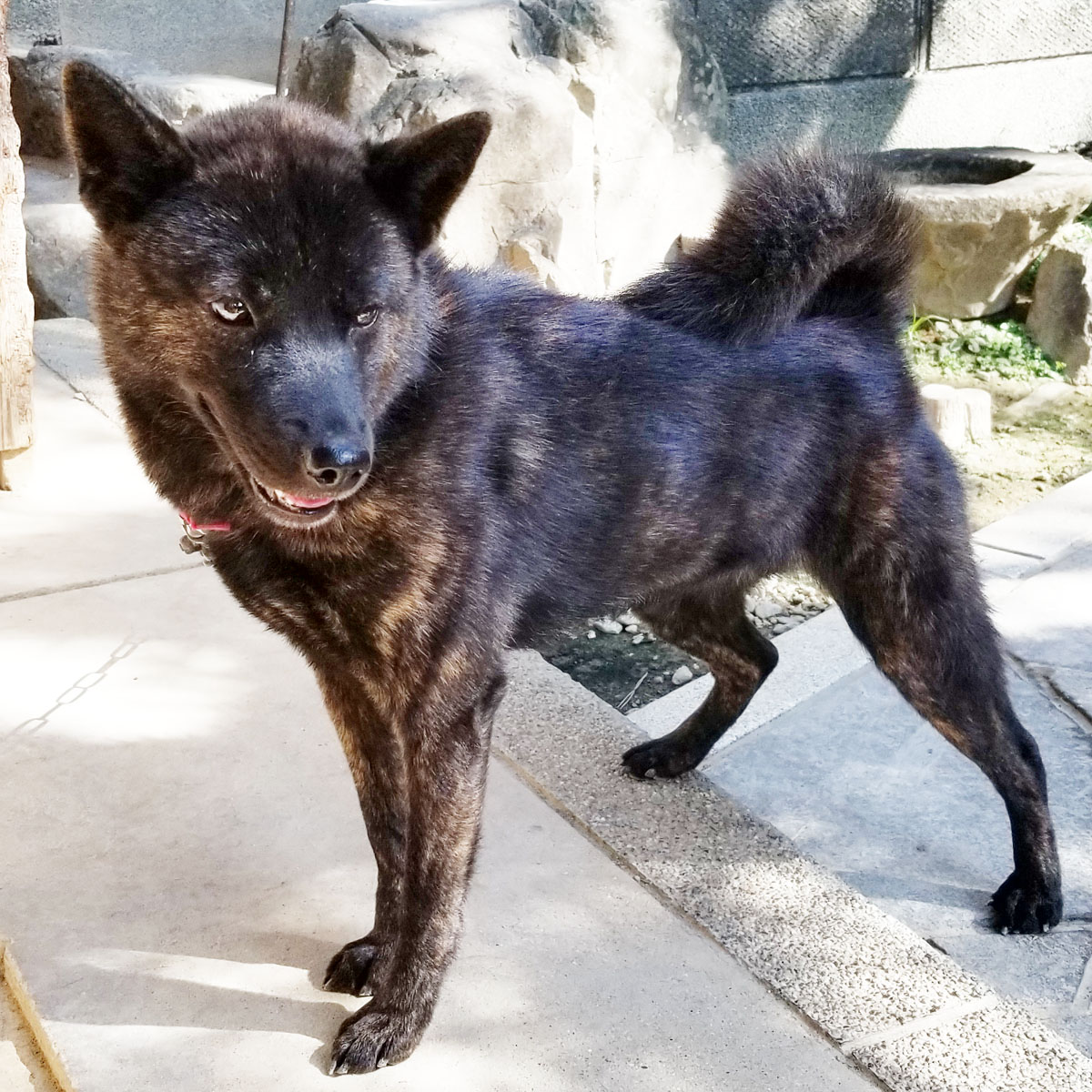 �I�m���㕐