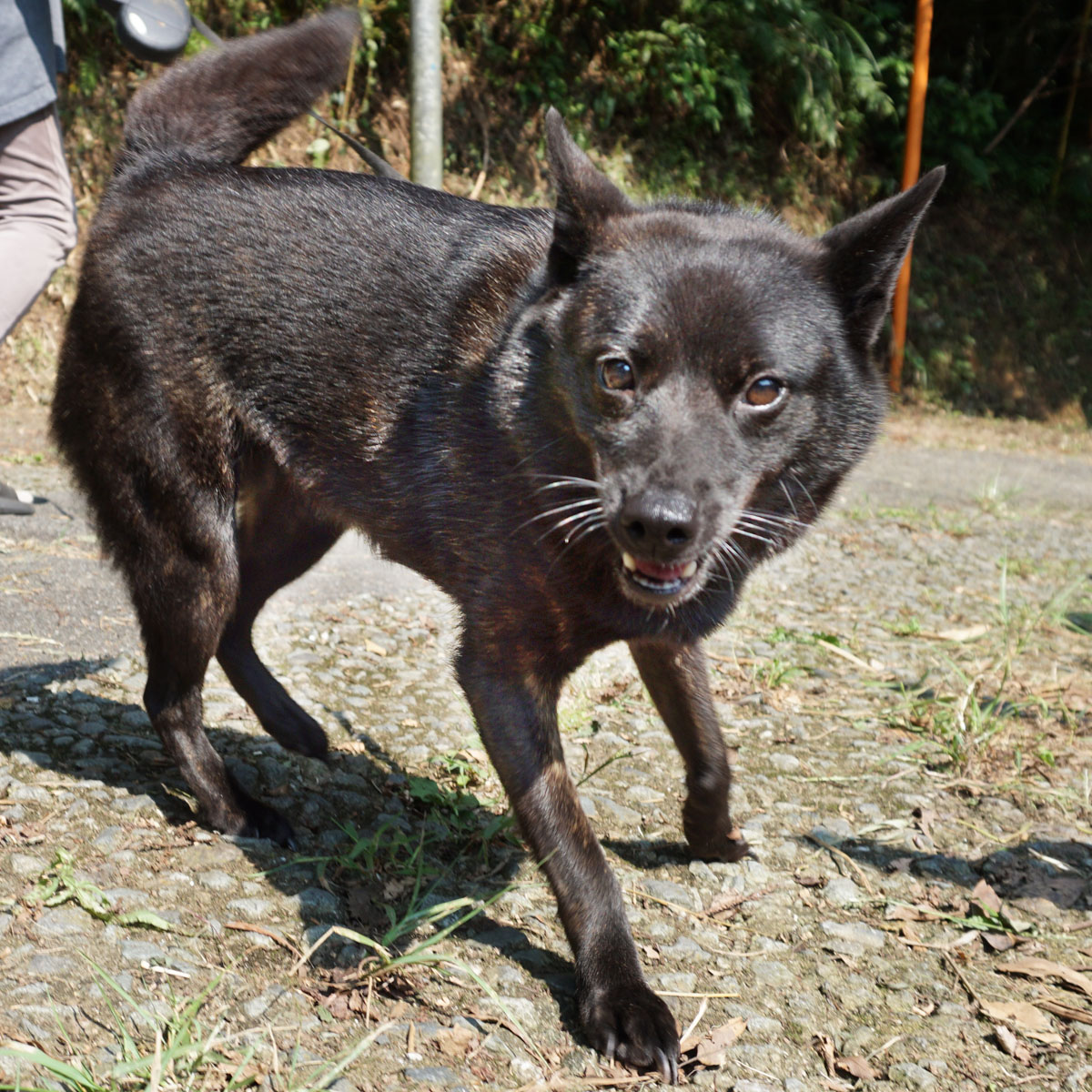 ��O���T��