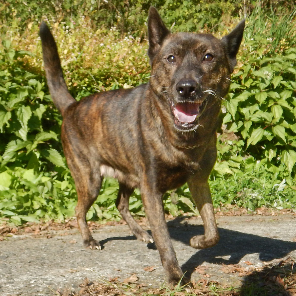 �����T�O����