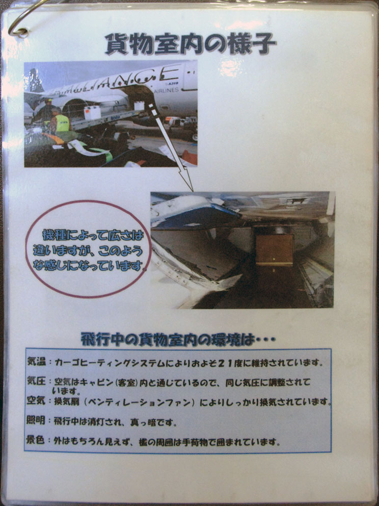 �ݕ������̗l�q
�@��ɂ���čL���͈Ⴂ�܂����A���̂悤�Ȋ����ɂȂ��Ă��܂��B

��s���̉ݕ������̊��́c�c
�C���F�J�[�S�q�[�e�B���O�V�X�e���ɂ�肨�悻21�x�Ɉێ�����Ă��܂��B
�C���F��C�̓L���r���i�q���j���ƒʂ��Ă���̂ŁA�����C���ɒ�������Ă��܂��B
��C�F���C��i�x���e�B���[�V�����t�@���j�ɂ�肵�����芷�C����Ă��܂��B
�Ɩ��F��s���͏�������A�^���Âł��B
�i�F�F�O�͂�����񌩂����A�B�̎��͎͂�ו��ň͂܂�Ă��܂��B