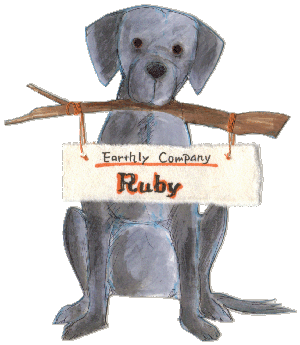 �C���Ă̂������ł��B��ɗ��ĂˁI