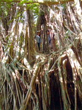 ���R�K�W���}��