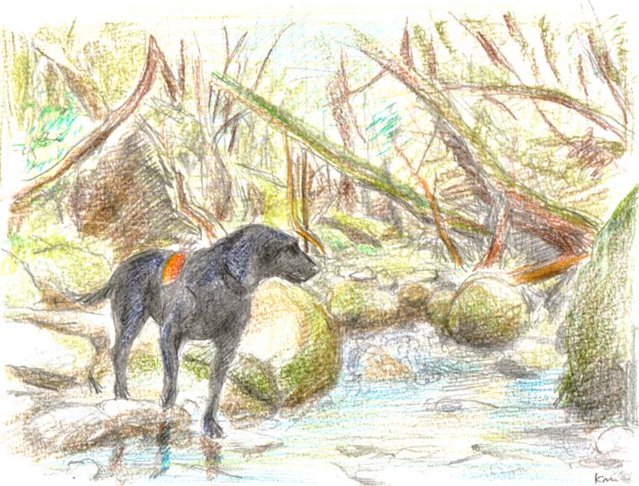 �X�̐��Ɏ��𐟂܂��Ă��郋�r�[�A�u�{�����ُ�Ȃ��I�v