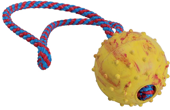 ���i���S���{�[���iM/���[�v�R�t���j