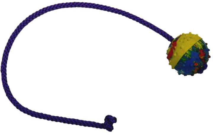 ���i���S���{�[���iS/���R�t���j