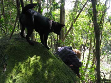 �w���p�[��{���o���Ėi����_���̊�i�Q���j