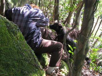 �w���p�[��{���o���Ėi���鉂���̎�K