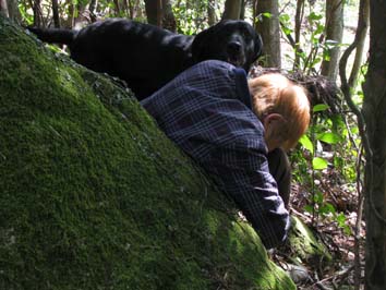 �w���p�[��{���o���Ėi���郋�r�[