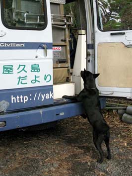 �w���p�[��{���o���Ėi����_���̊�i�Q���j