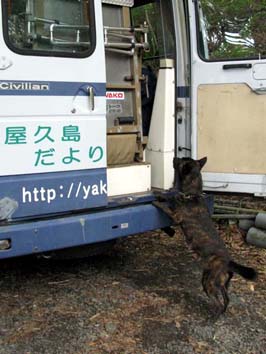 �w���p�[��{���o���Ėi���鉂���̎�K