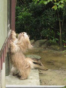 �w���p�[��{���o���Ėi����_���̊�i�Q���j