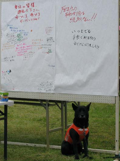 ���k�̊F�l�A�撣���ĉ������B�Ă���A������A�K���o�b�eNe�I
���ꂩ��̖���������͖̂l�玩�g�A�y���������Ɍ����ĐS����̃G�[���𑗂�܂��B
�߂��Ă��܂������Ƃ͂������ӂ��A���ꂩ�玄�����͎������̖]�ނ��̂�����ɂނ����Ă݂�Ȃŗ͂����킹�܂��傤�B
�K���k�БO�̏Ί�����߂��܂��B���v������F���Ă܂��B
�݂�Ȃňꏏ�ɐV�������{�A�V�����n���Â���A�S��Ȃ����Ă����܂��傤!!�݂ȂŃ��j���[�A��(^_^)�L���L���̂ق���
����΂꓌�k!!�ڂ��炪�������񂵂Ă��܂��B
���{���ւ���ɂ��悤�B
����΂꓌�k�B���v������������񂵂Ă��܂��B
����΂꓌�k�I�����Ă���ΕK�������͌����Ă���I
����΂���{�A���v������������񂵂Ă��܂��B
����΂���{!!�ڂ��͂��񂶂Ă���B
�n���͈�I�l�ƌq����A���R�ƌq����A�����Ă��������ł��B�ꏏ�Ɋ撣��܂��傤�I�����Ă��܂��B
���q�͂̕��a���p�͐�΂Ȃ�!!
���܂ł����a�ł���܂��悤�F�ł���΂�܂��傤�B