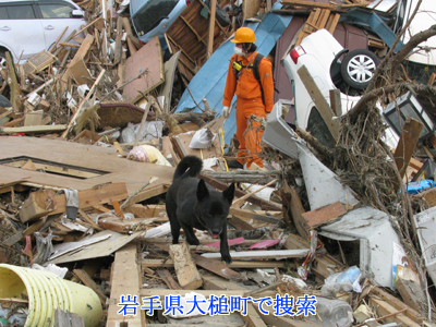 ��茧��ƒ��ő{��