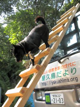 ��q��������