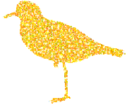 ���R�̑�D���Ȑl�����̂炤�񂶁i�f���j